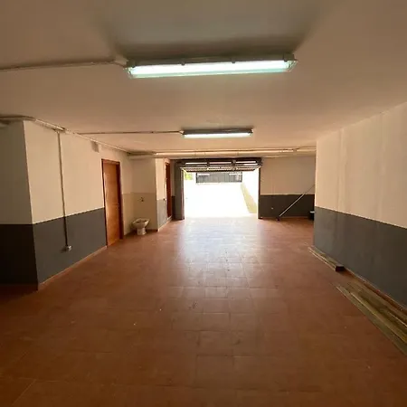 Palmeras *