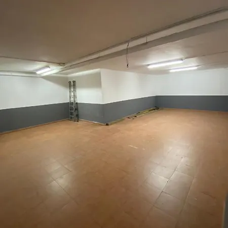 Palmeras Tarragona